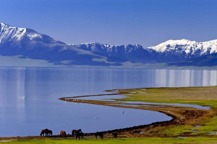 Trung Quốc Crossing: Việt Nam (Pingxiang/Dongxing) – Trung Quốc – Kazakhstan