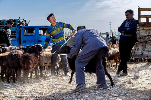 Cruzar china en coche: Vietnam (Pingxiang / Dongxing) – China – Pakistán