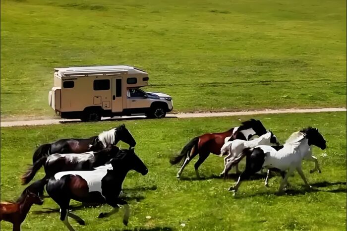 Chang’an Fengjing Pickup 6-Seater 4-Berth – RV, Camper, Rental and Travel