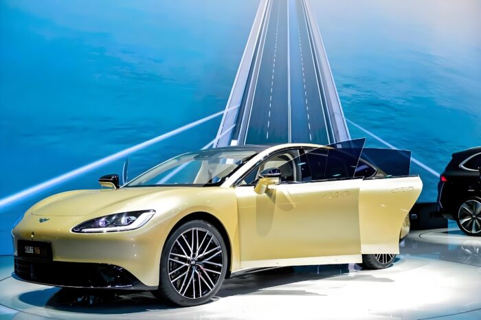 Yuanhang Y6 Large-size Car – EV, Rental and Road Trip